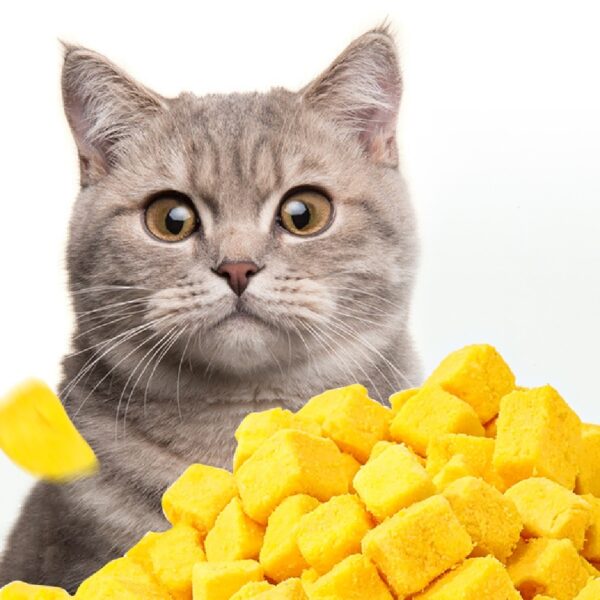 High Protein Freeze-dried Egg Yolk Cat Snacks