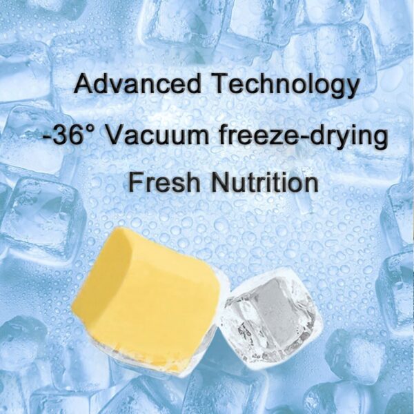 High Protein Freeze-dried Egg Yolk Cat Snacks - Image 5
