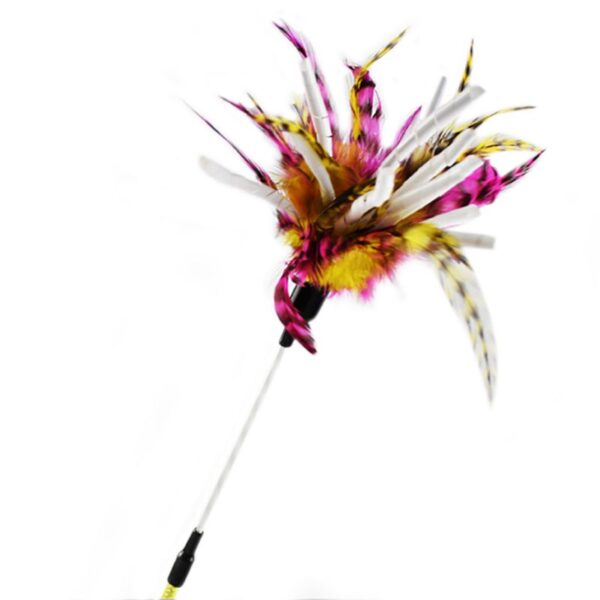 Simulation Feather Bird with Bell - Image 26
