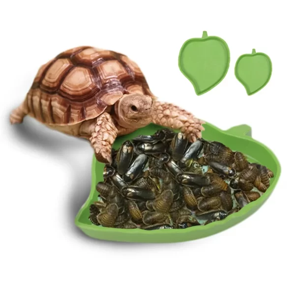 Leaf Shape Amphibians Reptiles Feeder - Image 2