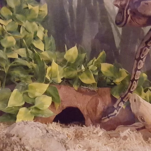 Reptile Terrarium Plant Decoration - Image 5