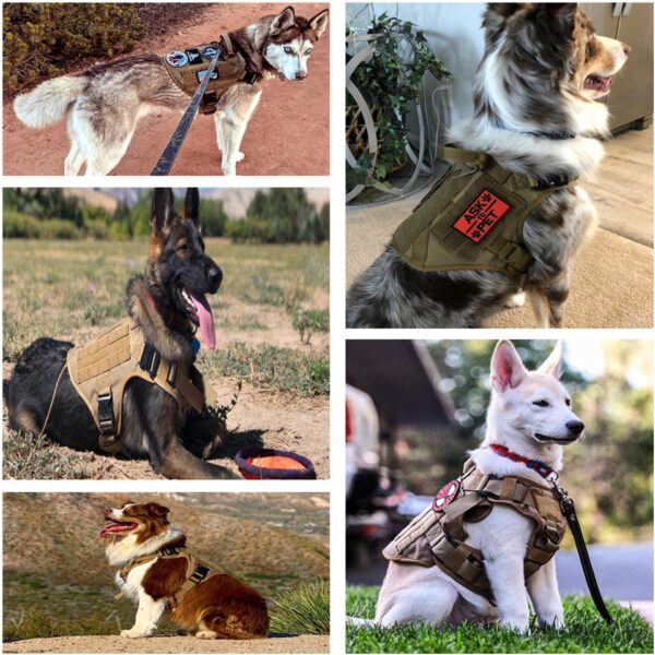 Tactical Dog Harness with Leash Full Set for Large Dogs - Image 8