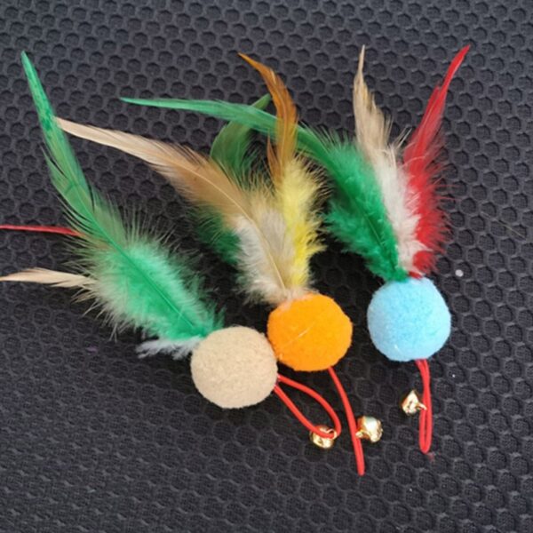 Simulation Feather Bird with Bell - Image 32