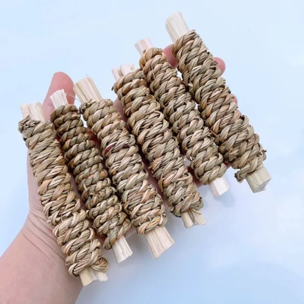 6pcs Bamboo Apple Wood Molar Toy - Image 4
