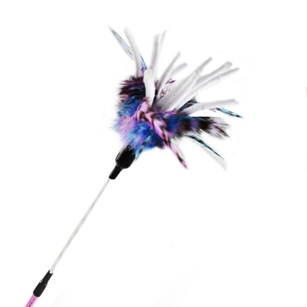 Simulation Feather Bird with Bell - Image 35