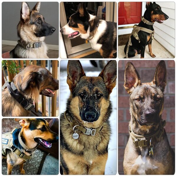 Tactical Dog Training Collar and Leash Set for All Dogs - Image 7