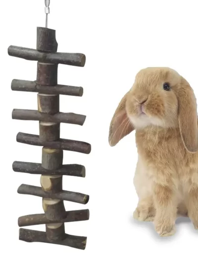 Bunny Chew Toy