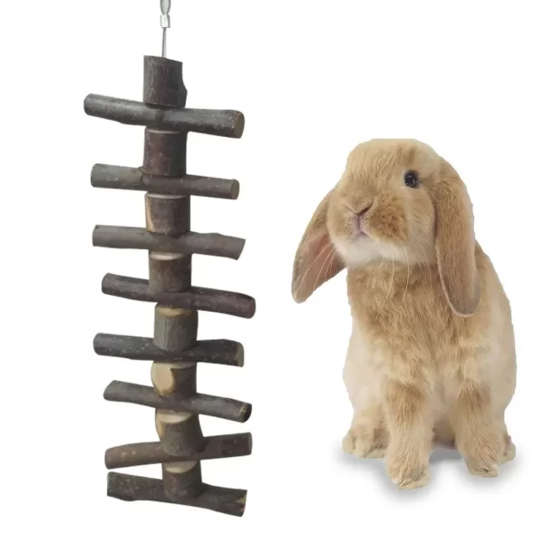 Bunny Chew Toy
