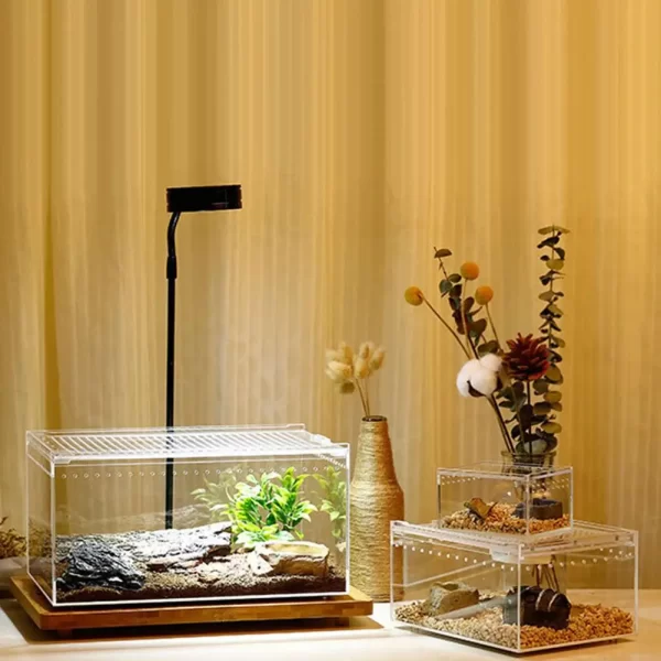 Acrylic Reptile Breeding Box - Image 4