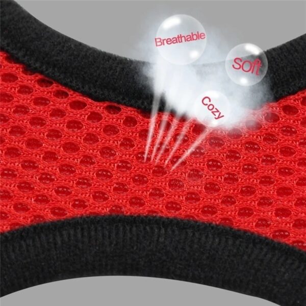 Dog Harness With Walking Leash - Image 12
