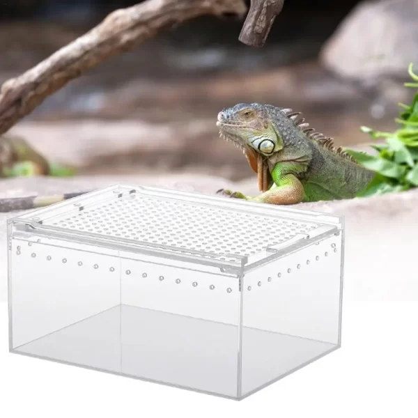 Transparent Reptile Breeding Box - Image 5
