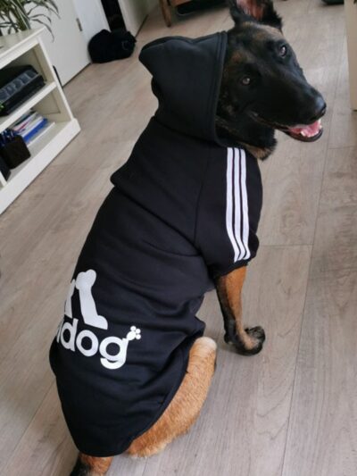 Mock Adidas Hoodie