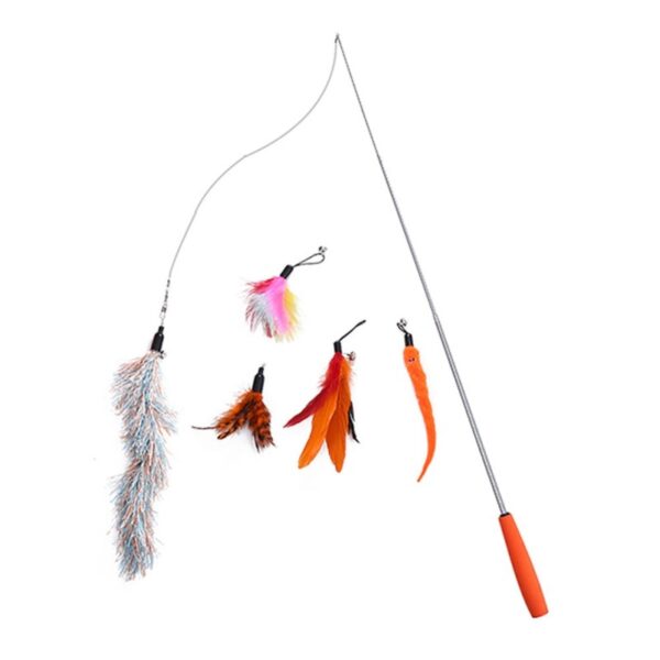 Simulation Feather Bird with Bell - Image 16