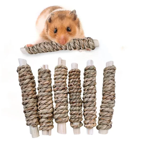 6pcs Bamboo Apple Wood Molar Toy