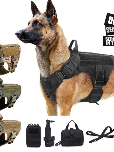 Tactical Dog Harness with Leash Full Set for Large Dogs