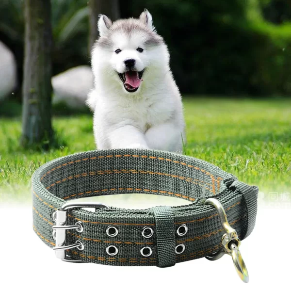 Pet Dog Double-Breasted Necklace For Big Dog Collar Leads Army Green Pet - Image 5