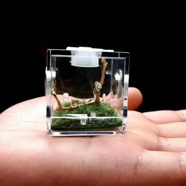 1PCS Reptiles Breeding Box - Image 3