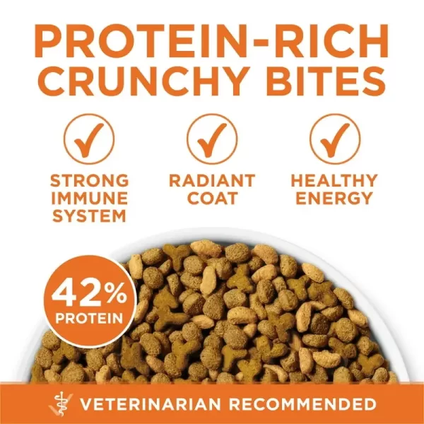 Ideal Weight High Protein Dry Cat Food Turkey, 16 lb Bag - Image 2