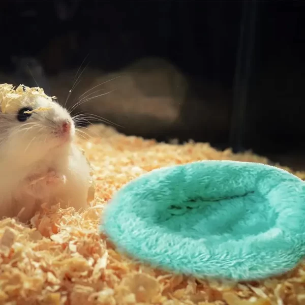 Hamster Coconut Hideout - Image 3