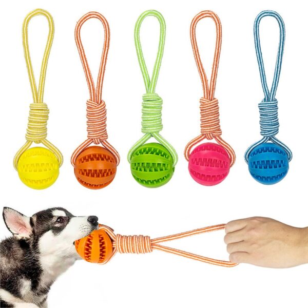 Dog Toys Treat Balls Chewing Bite Resistant Toys Pet Tooth Cleaning