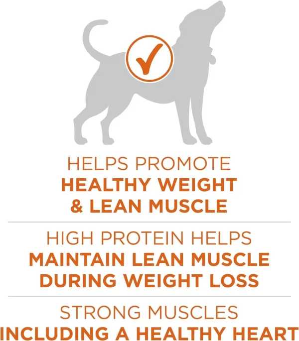 Plus Healthy Weight High-Protein Dog Food Dry Formula - 40 lb. Bag - Image 3