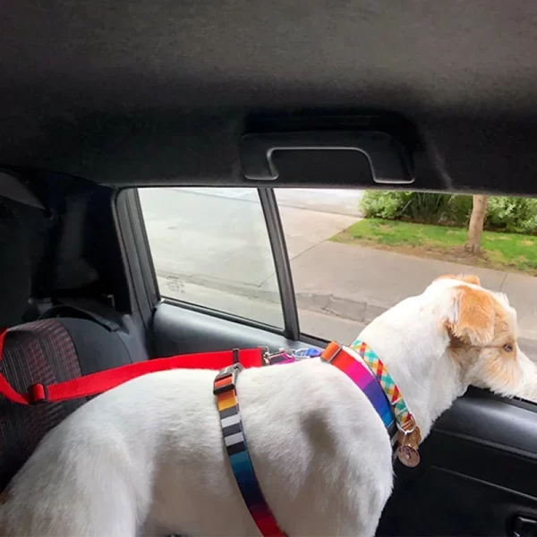 Solid Color Two-in-one Pet Car Seat Belt Nylon Lead Leash Backseat Safety Belt Adjustable Dogs or 
Cats that attaches to Harness Collar Pet Accessories - Image 2