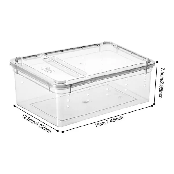 Terrarium For Reptiles - Image 8