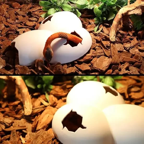 New Egg Shape Reptile Simulation Rock Cave Hideouts Reptile Hide Basking Hide Decoration Ornament For Aquariums Terrariums - Image 5