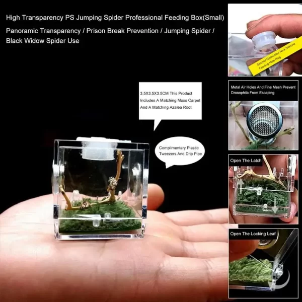 Mini Reptiles Breeding Box - Image 6