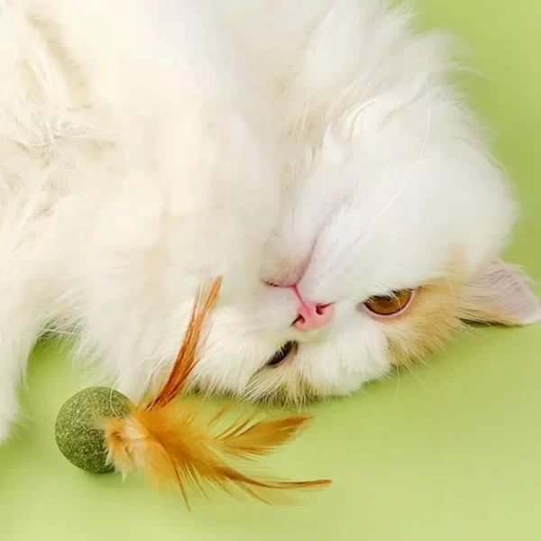 Catnip Ball Feather Cat Tooth Cleaning Cat Toy Promote Digestion Pet Kitten Interactive Chew Hair Removing Ball Pet Accessories - Image 4