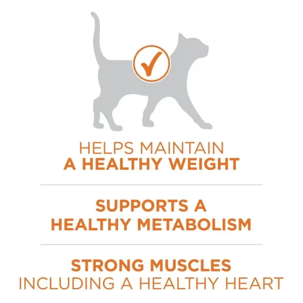 Ideal Weight High Protein Dry Cat Food Turkey, 16 lb Bag - Image 4