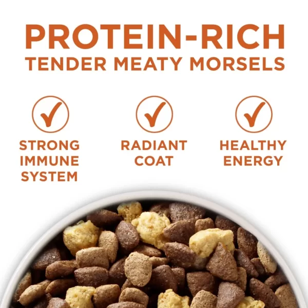 Purina One Plus Dry Formula 40lb - Image 3