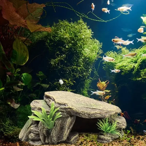 Turtle Reptile Habitat Hiding Caves - Image 5