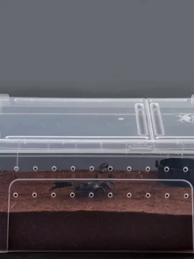 Reptile Feeding Box