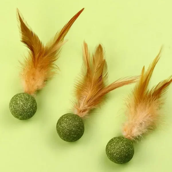 Catnip Ball Feather Cat Tooth Cleaning Cat Toy Promote Digestion Pet Kitten Interactive Chew Hair Removing Ball Pet Accessories - Image 3