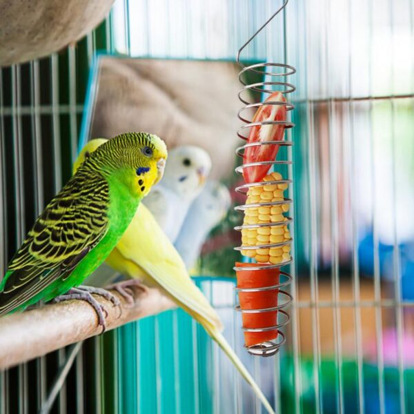 Stainless Steel Bird Feeder - Image 3