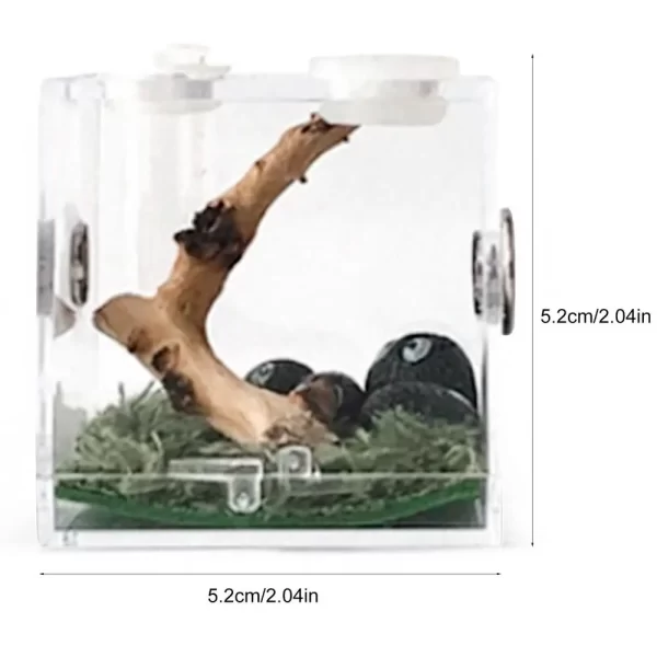1PCS Reptiles Breeding Box - Image 8