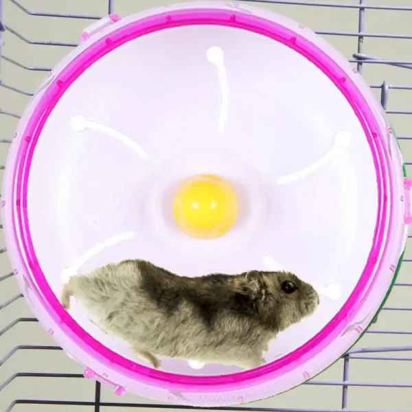 Hamster Running Spinner Wheel - Image 3