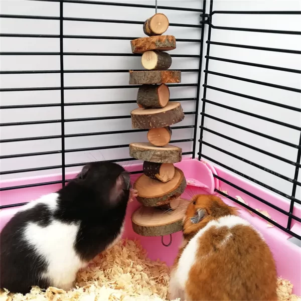 Hamster Rabbit Chew Grinding Toy