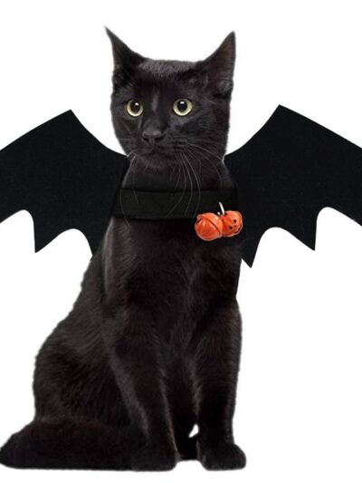 Bat Wings Cosplay
