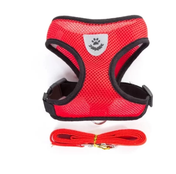 Cat Harness & Leash - Image 5