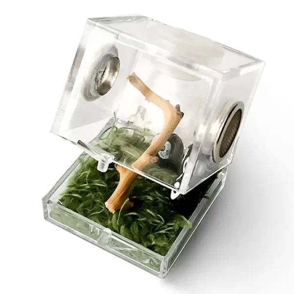 Reptiles Breeding Box - Image 4