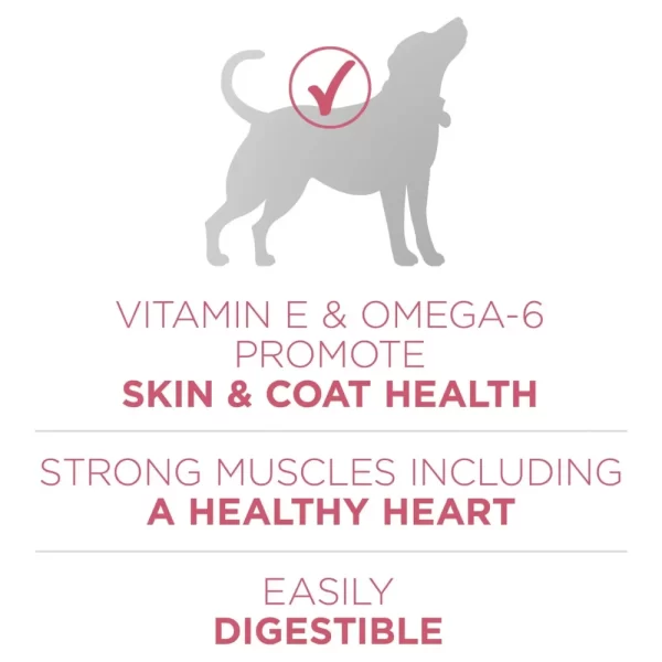 Purina One +Plus Dry Dog Food for Adult Dogs Skin & Coat, High Protein, Real Salmon, 31.1 lb Bag - Image 2