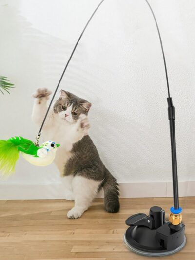 Simulation Feather Bird with Bell