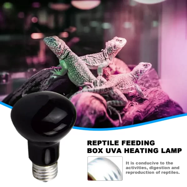 UVA Heating Light Bulb - Image 4