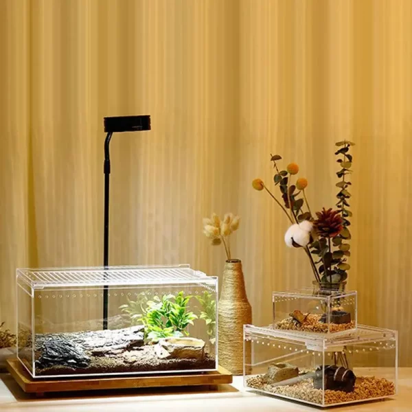 Transparent Acrylic Box - Image 3