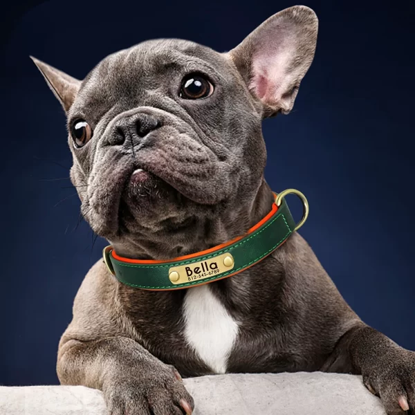 Customized Leather ID Nameplate Dog Collar Soft Padded Dogs Collars Free Engraving Name for Small Medium Large Dogs Adjustable - Image 2