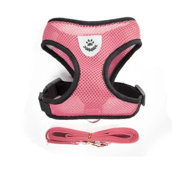 Cat Harness & Leash - Image 3