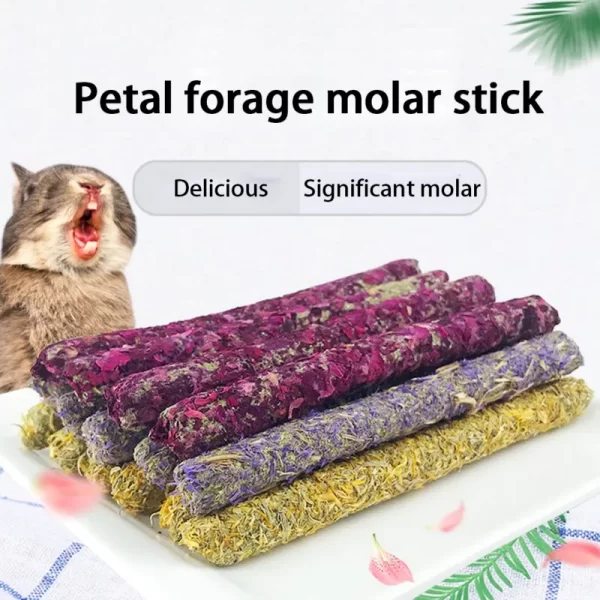 6Pcs Rose Calendula Lavender Stick Molar Chewing Toy