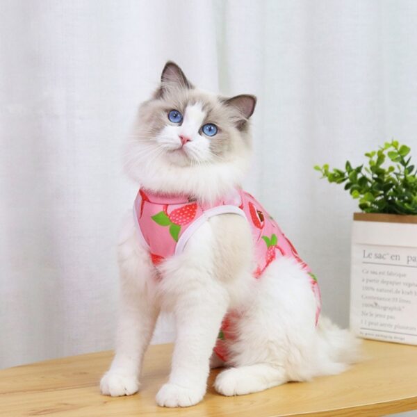 Fruit Print Cat Suit - Image 10
